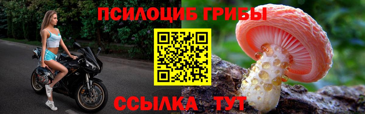 Галлюциногенные грибы Magic Shrooms Артёмовский